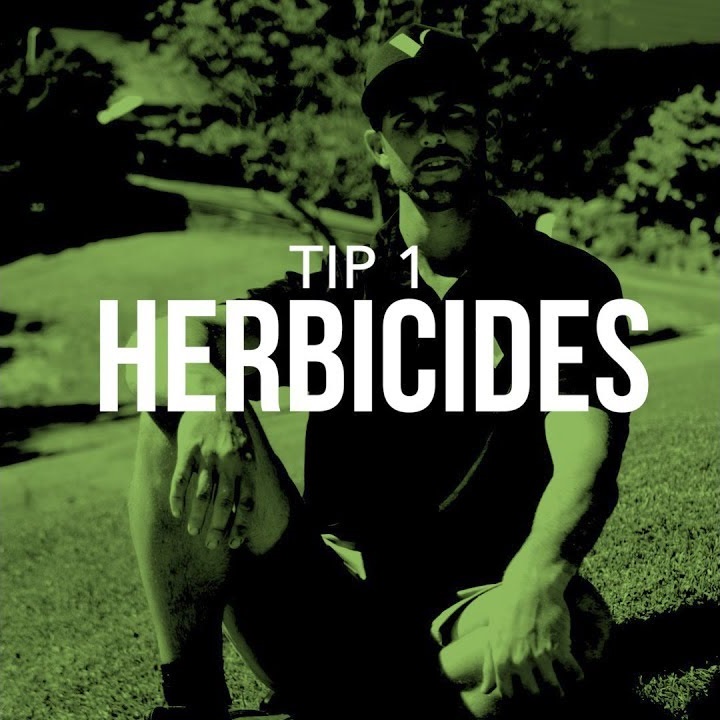 Lush lawn tip 1: herbicides
