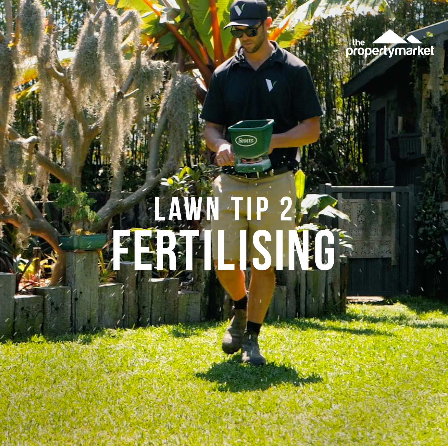 Lush lawn tip 2: fertilising