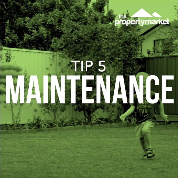 Lush lawn tip 5: maintenance