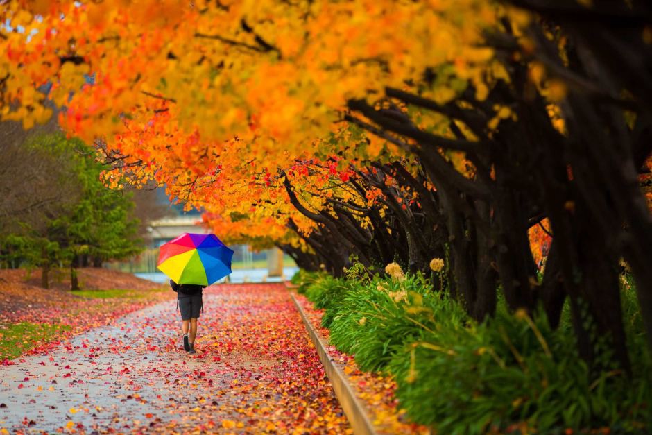 Autumn: Season for wind, rain and rental arrears