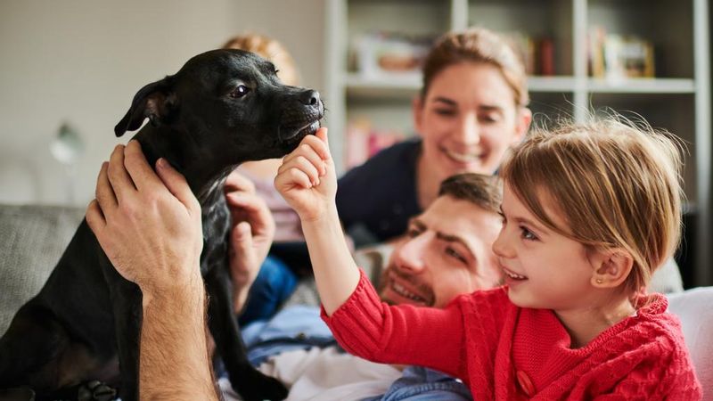 NSW court delivers landmark ruling for pet owners in units