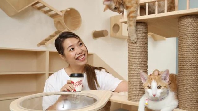Pet-friendly property on the rise in new developments as way to attract new tenants